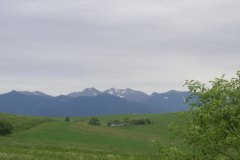 KONICA MINOLTA DIGITAL CAMERA