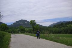 KONICA MINOLTA DIGITAL CAMERA