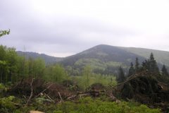 KONICA MINOLTA DIGITAL CAMERA