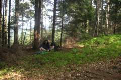 KONICA MINOLTA DIGITAL CAMERA