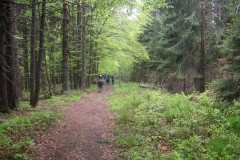 KONICA MINOLTA DIGITAL CAMERA