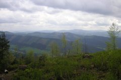 KONICA MINOLTA DIGITAL CAMERA