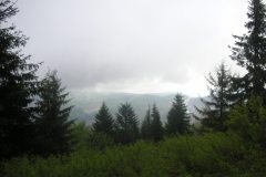 KONICA MINOLTA DIGITAL CAMERA