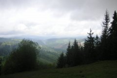 KONICA MINOLTA DIGITAL CAMERA