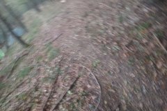 IMG_20180929_070625_BURST1