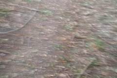 IMG_20180929_070625_BURST2