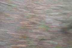 IMG_20180929_070625_BURST3